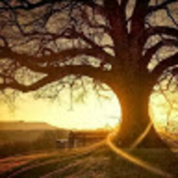 Meet your Posher, Jessie - Picture 1 of 1